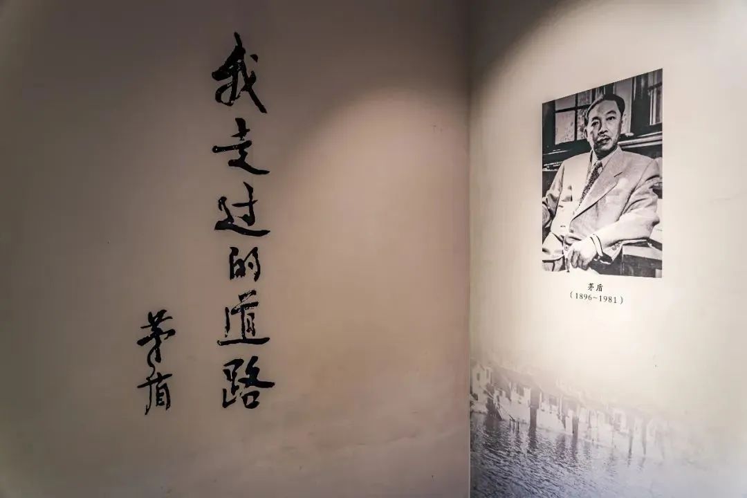 图源：桐乡发布