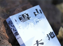 看这里，《雪山大地》

　　《雪山大地》是当代作家杨志军创作的长篇小说，由作家出版社出版。
[详细]