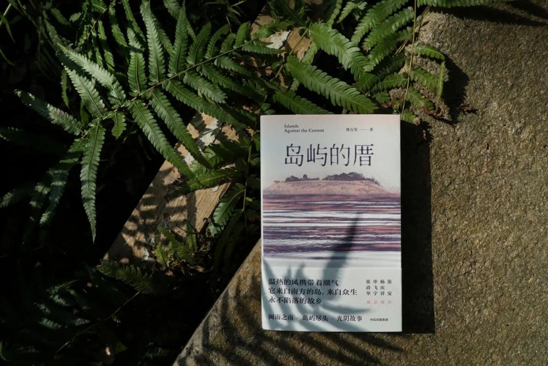 “厝”在闽南语中意为“房子” 龚万莹/著 大方丨中信出版集团