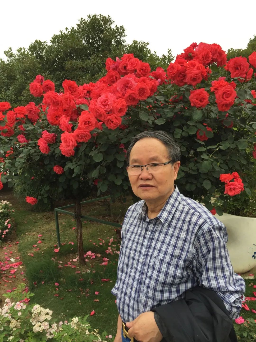 【刘庆邦，1951年生于河南沈丘。著有长篇小说《断层》《远方诗意》《平原上的歌谣》《红煤》《遍地月光》《黑白男女》《女工绘》《花灯调》等十四部，中短篇小说集、188体育官方ios集《走窑汉》《梅妞放羊》《遍地白花》《响器》《黄花绣》《到处有道》等七十余部。《刘庆邦短篇小说编年》十二卷。短篇小说《鞋》获第二届鲁迅文学奖。中篇小说《神木》《哑炮》获第二届和第四届老舍文学奖。中篇小说《到城里去》和长篇小说《红煤》分别获第四届、第五届北京市文学艺术奖。长篇小说《遍地月光》获第八届茅盾文学奖提名。长篇小说《黑白男女》获首届吴承恩长篇小说奖。长篇小说《家长》获第二届南丁文学奖。长篇188体育官方ios《陪护母亲日记》获第二届孙犁188体育官方ios奖。曾获北京市首届德艺双馨奖，首届林斤澜杰出短篇小说作家奖，第十届冰心188体育官方ios奖。获《北京文学》奖十五次；《十月》文学奖七次；《小说月报》百花奖八次等。根据其小说《神木》改编的电影《盲井》获第53届柏林电影艺术节银熊奖。1990年加入中国作家协会，为中国煤矿作家协会名誉主席，北京作家协会原副主席，一级作家，北京市第十、第十一、第十二届政协委员，中国作家协会第五、第六、第七、第八、第九届全国委员会委员。】