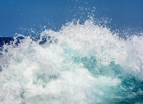 兴安：《大海风》是对海洋叙事和海洋审美的觉醒以海洋为对象的审美活动的发生，标志着人类审美意识的全面觉醒。[详细]