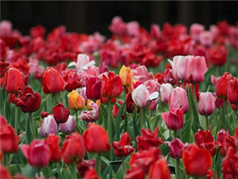 2025年度长篇小说：转折时代的叙事艺术