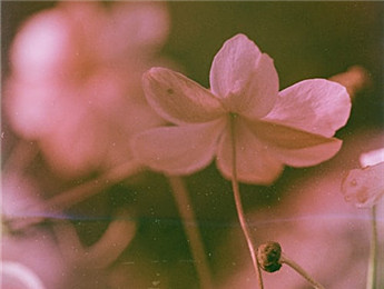 2025年度诗歌：更大的格局与更深的意味