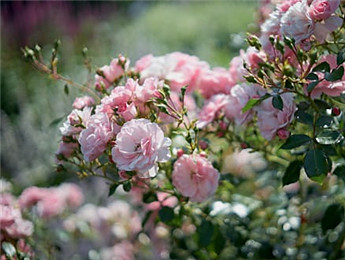 2025文学188金宝搏自信推荐观察：在时代变革中开拓丰盈的话语空间