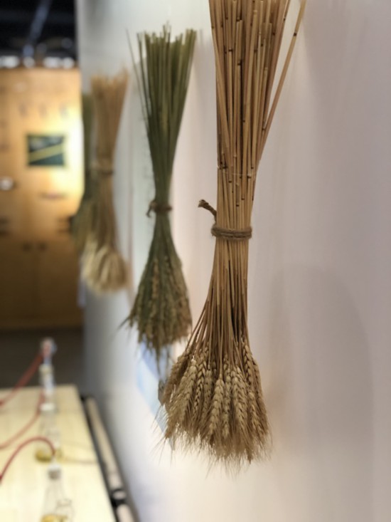 培德书院的展览“冬藏”现场